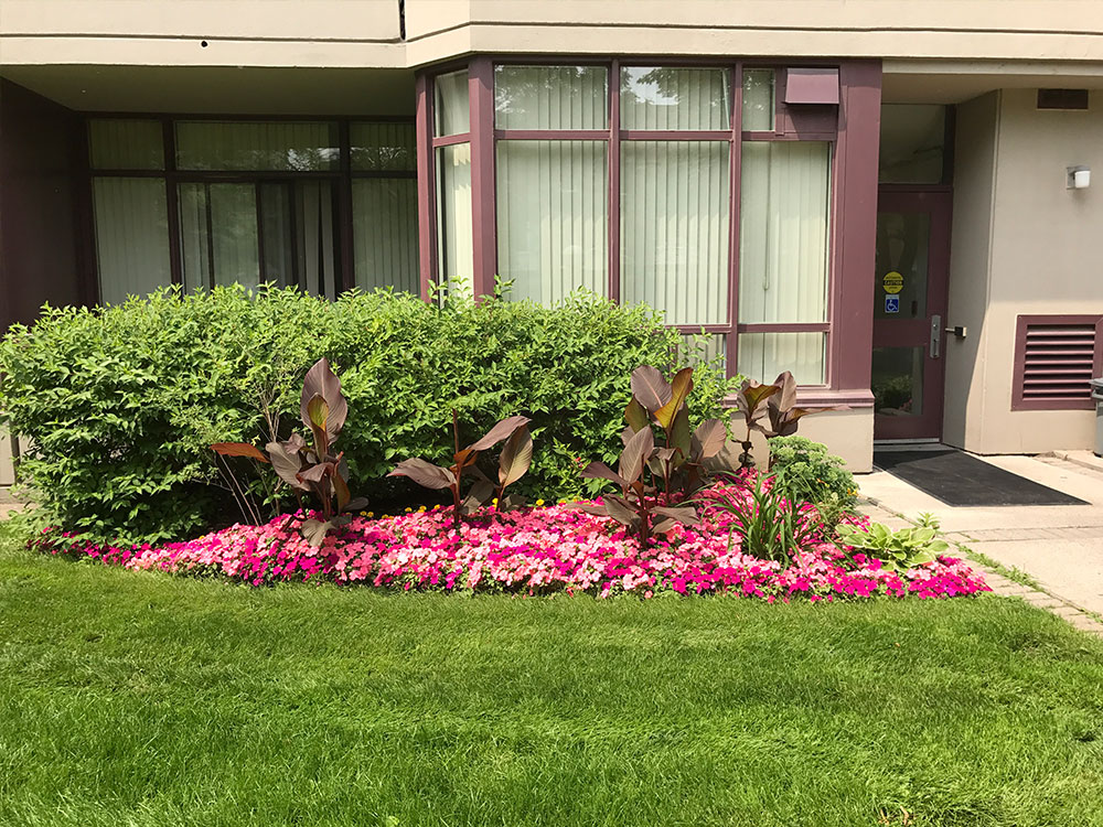 front landscaping toronto