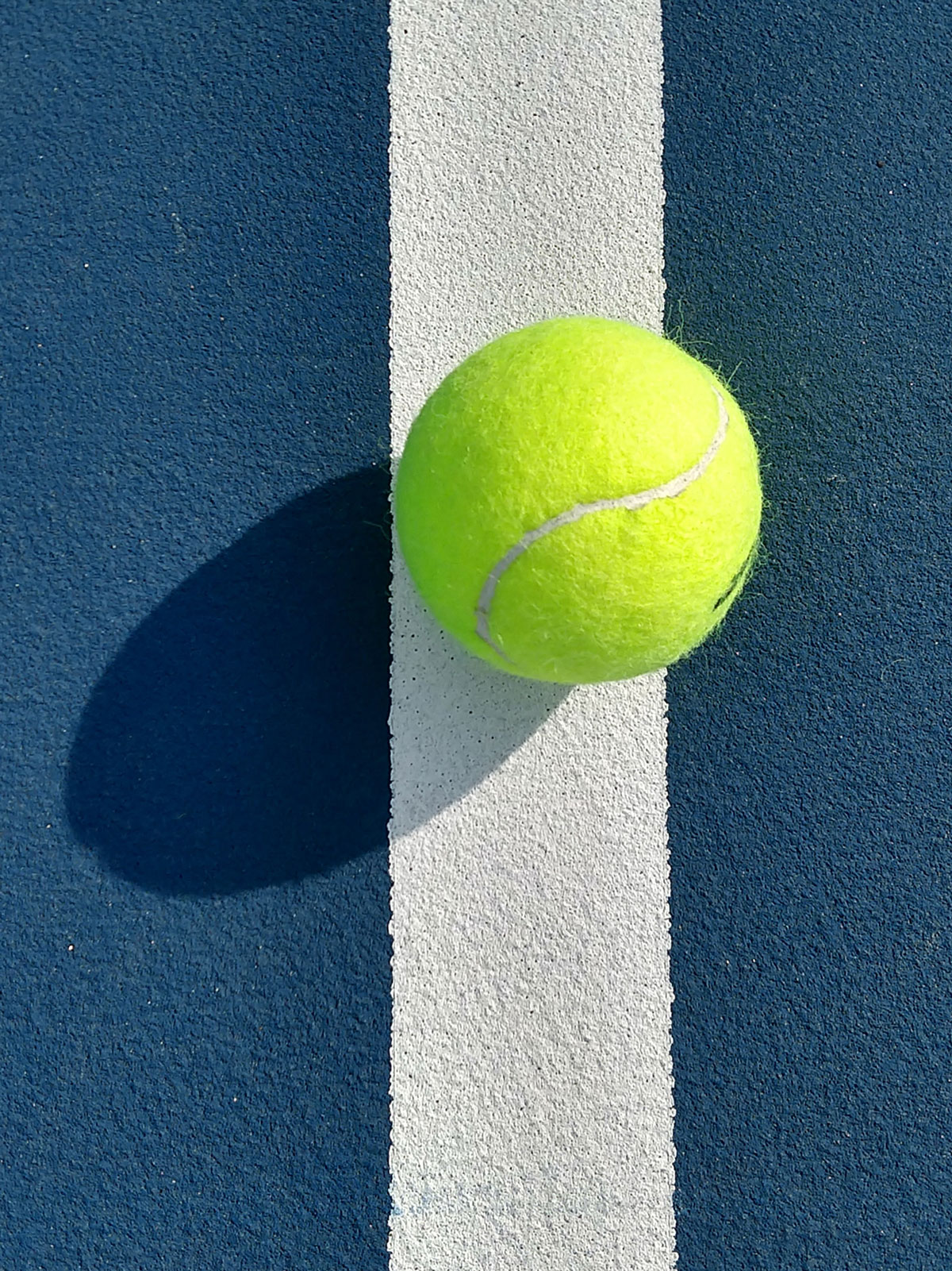 courts sport courts