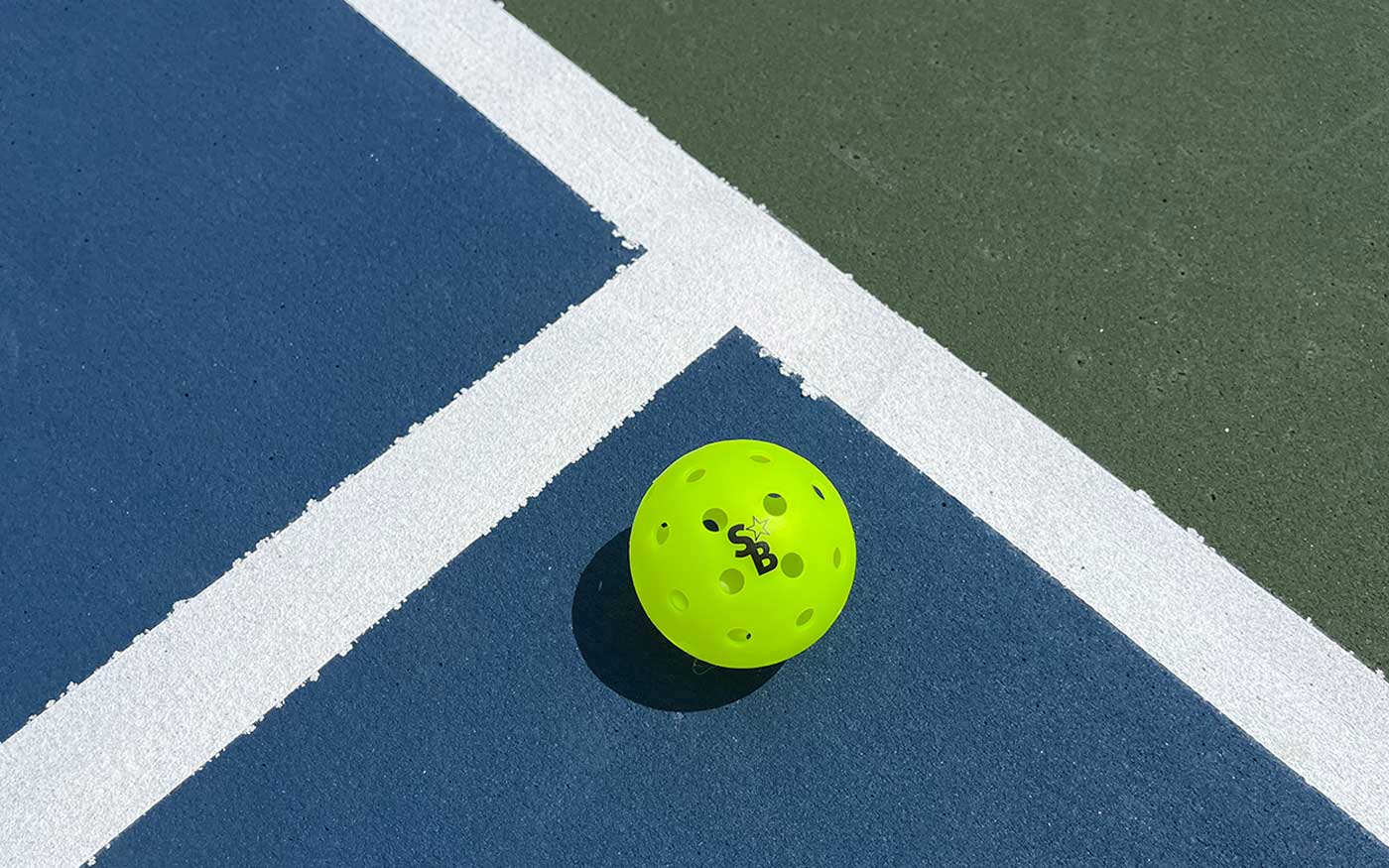 pickleballbackyardcourt pickleball backyard court