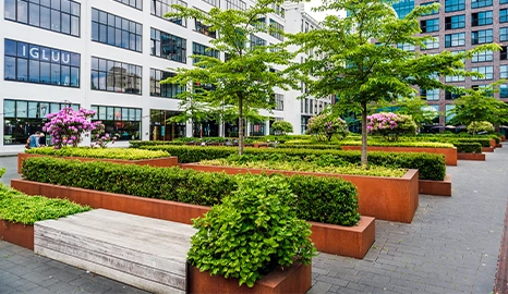 commercial landscape three